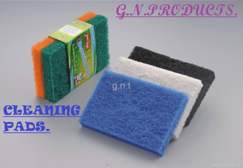 Scrub Pads